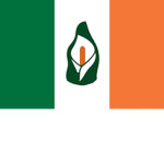 The Irish Revolutionary Army