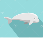 Beluga Games