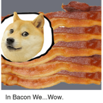 DOGES VS BACONS!!!