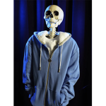 The Sans Fan club/Cult