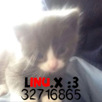 LINU.x