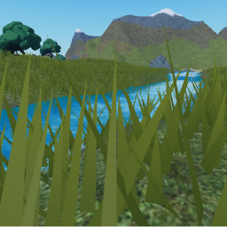 The River