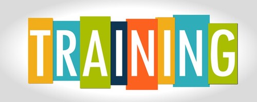 Nopeee Training Game