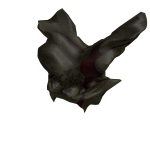 Behemoth's Wraith