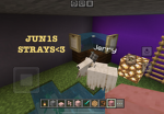 Juni’s Strays!