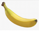 The Banana Of The Banana Tribes