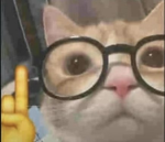 Hello join if you wanna be friends