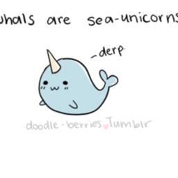 Narwhal State Wall