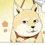 Doge Squad!<3
