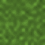 Grass Stuidos