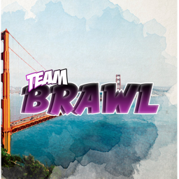 Team Brawl
