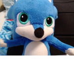 Sanic is kewl group
