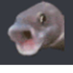 Curse here
