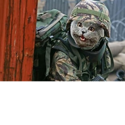War Practice