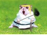 hamster ninja