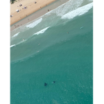 Ocean !