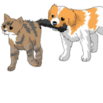 Cat and Dog Warriors