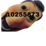 Ch3rrÿBlosōm