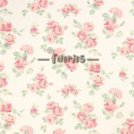 —faeries—