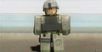 United States Military Adademy