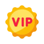 كبار الشخصيات - VIP