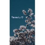 『moni』