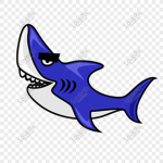 상어(shark)