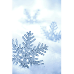 Small SnowFlakes