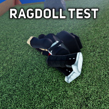 Test Ragdoll:RE
