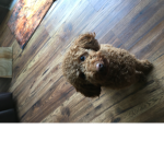 The only friend