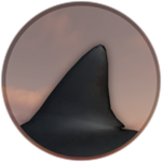 Jaws