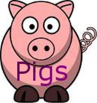 Pigs!