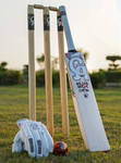 Cricket>Baseball