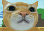 MONKEYCATFROG