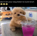 nwulld