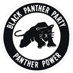 ~THE BLACK PANTHER PARTY ~