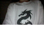 The Dragon Flyers Of ######