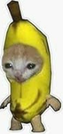 Bananasandcats