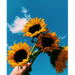 Sunny..Days Group Thumbnail