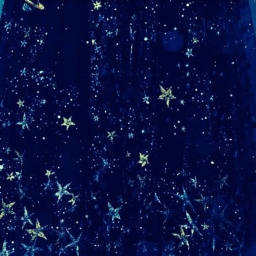˚‧ ☆  ‧˚