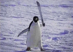watup bois