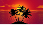 Tropical Co.