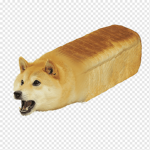 Bread doge studio