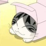 G de Gato