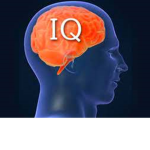 84 iq