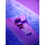 Roblox..Twins