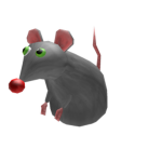 cool rat