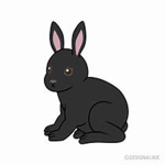 The Rabbit Socitey