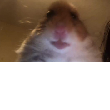 !!!!Click if you dare!!!!