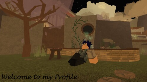Meet DevCritic